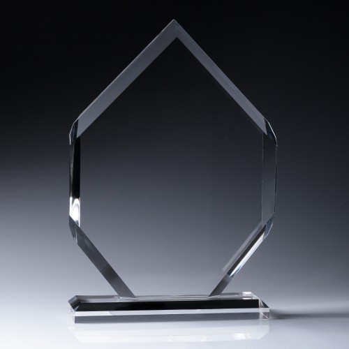 Distinct Corp - Arrow Award 200mm