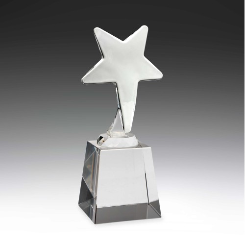 Distinct Corp - Ice Star Award 140mm