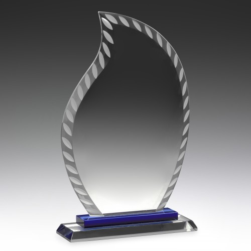 Distinct Corp - Aqua  Award 265mm