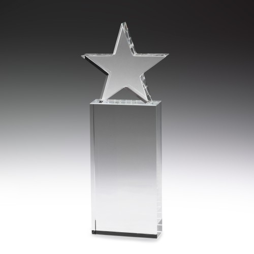 Distinct Corp - Star Award 255mm