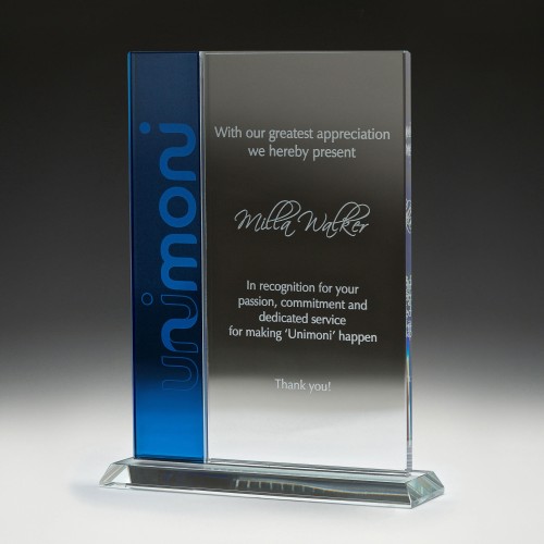 Distinct Corp - Vision  Award 225mm (L)