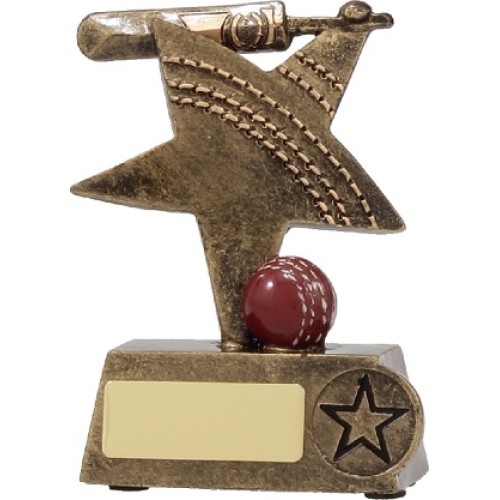 Resin - Sports Star Gold - Cricket