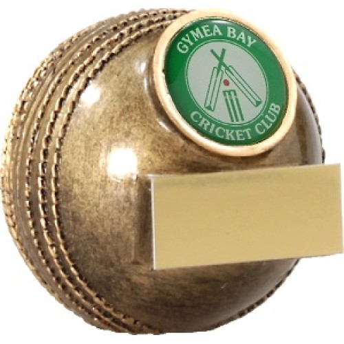 Mini Ball - Cricket
