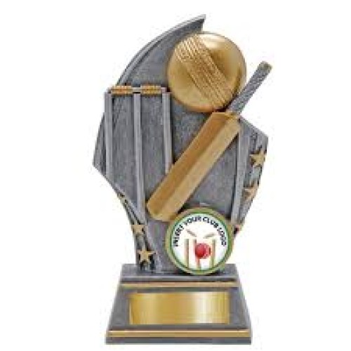 Generic Trophy Silver with Insert - Cric...